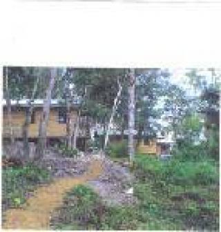 Jungle Resort for sale Belmopan
